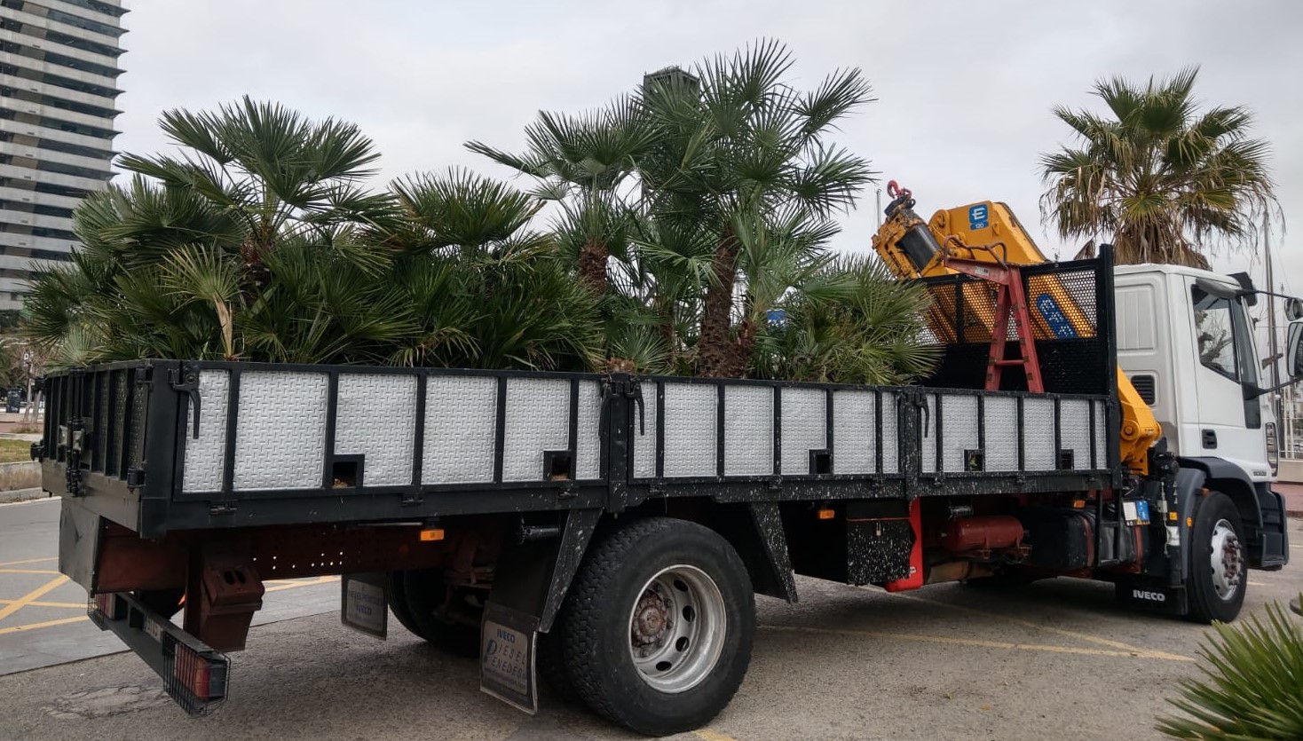 Camión para cargaa y transporte de vehículos